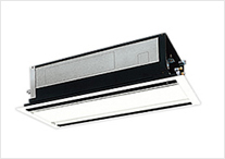 ŷ����������������